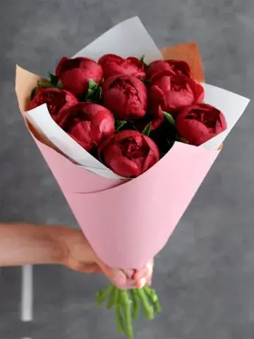 Bouquet of burgundy peonies
