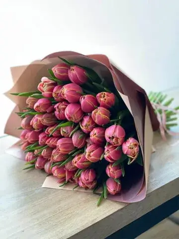 Peony-shaped tulips