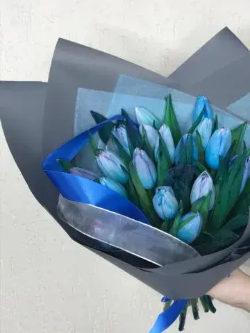 Blue tulips