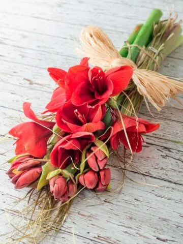 Bouquet of amaryllis