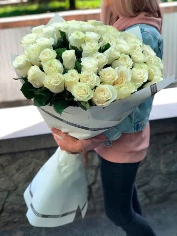 Оқ голланд атиргуллари