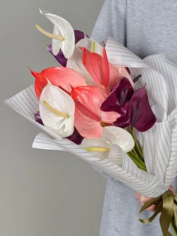 Bouquet of anthuriums
