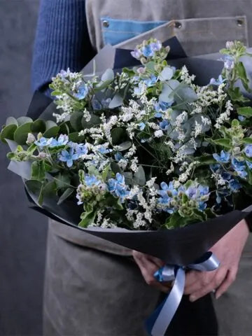 Bouquet of forget-me-nots