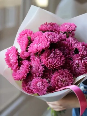 Bouquet of asters