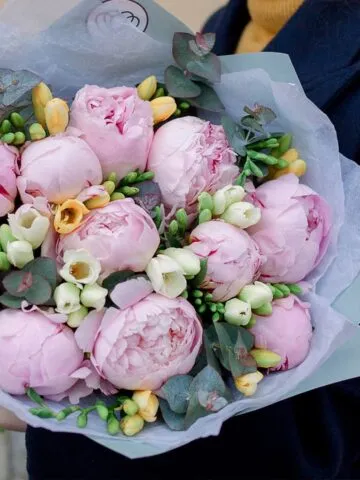 Bouquet of peonies and freesias