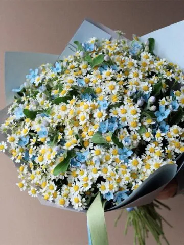Дала гулларидан гулдаста