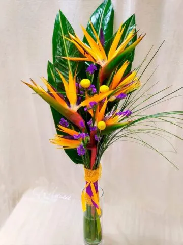 Bouquet of Strelitzia