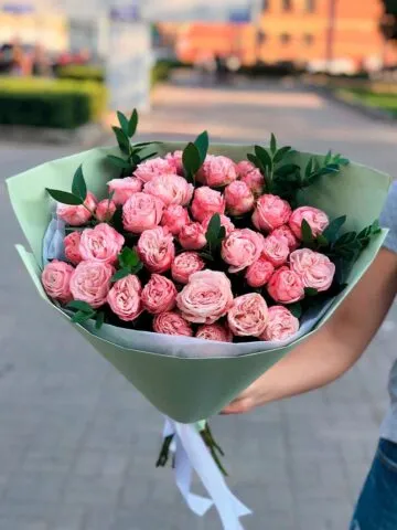 Bush peony rose