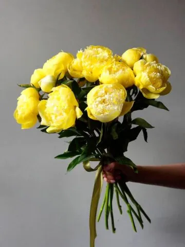 Bouquet 