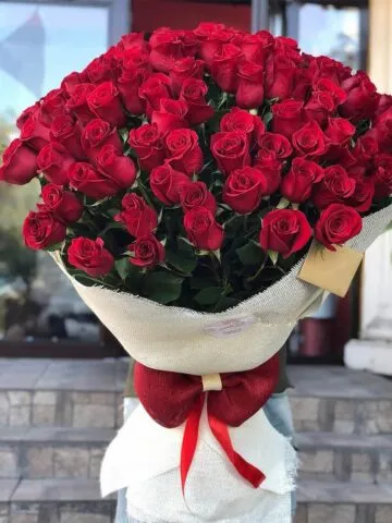 Dutch meter-long roses