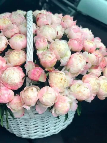 Arrangement 