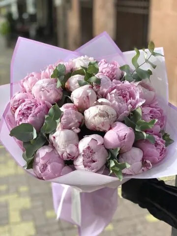 Bouquet of soft pink peonies