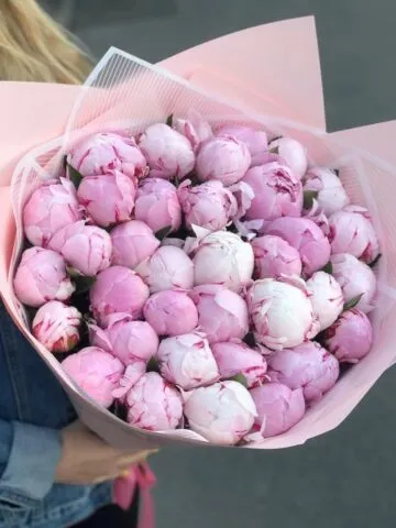 Bouquet 
