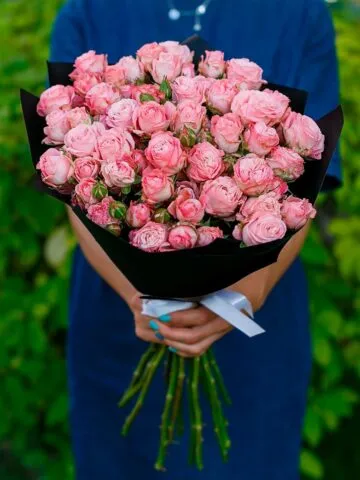 Peony spray roses