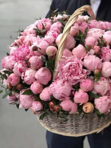 101 peony in a basket