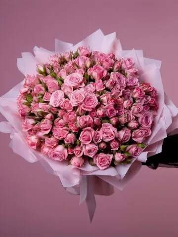 Pink spray roses