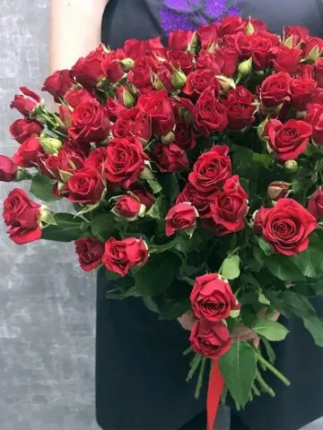 Burgundy spray roses