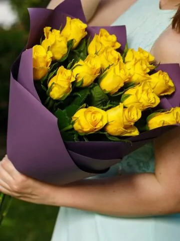 15 dutch roses