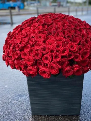 Basket of red roses