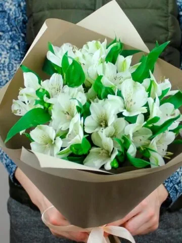 Оқ алстромериялар