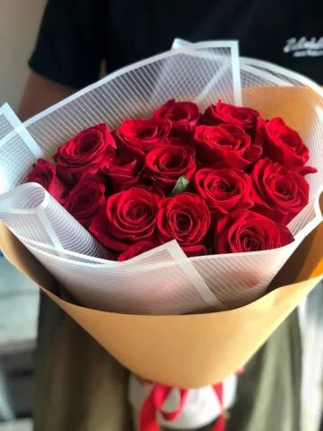 Красные голландские розы