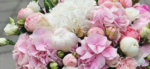 гортензии в коробке