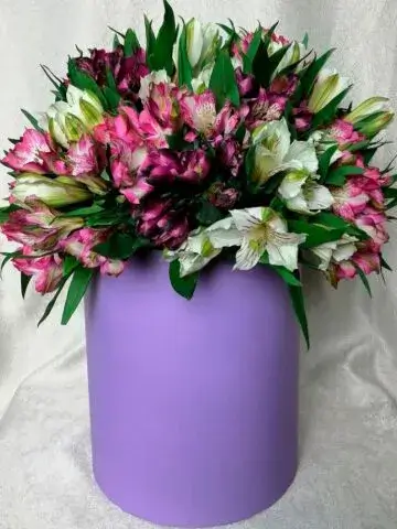 «Pink and white» композицияси
