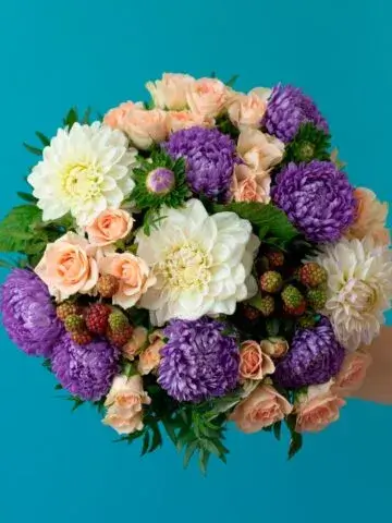Bouquet of Chrysanthemums and dahlias