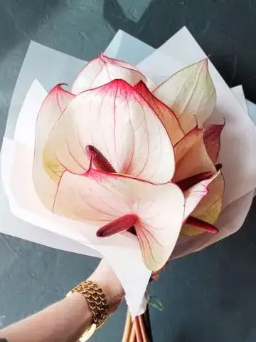 Bouquet «Idyll»