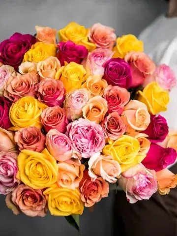51 mix of roses
