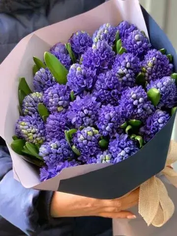Bouquet of blue hyacinths