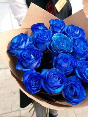 Bouquet of 15 blue roses