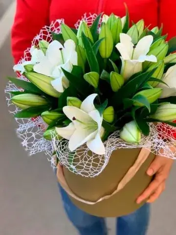«My dear» композицияси