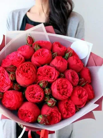 19 peony roses