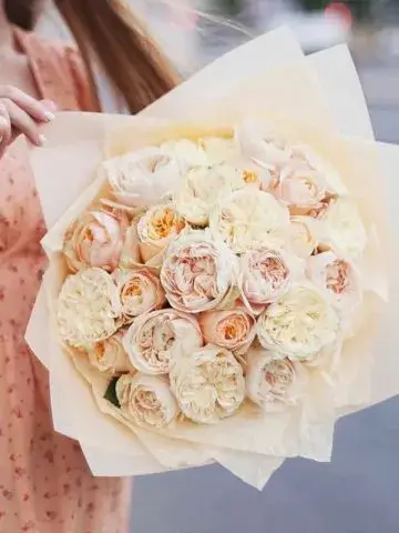 Bouquet 