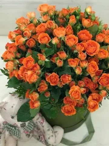Тўқ сариқ атиргуллар микс композицияси