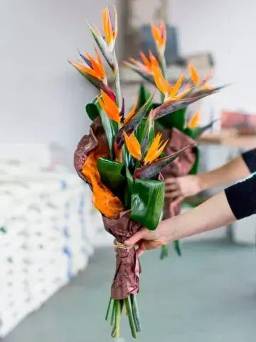 Mini-bouquet of strelitzia in paper