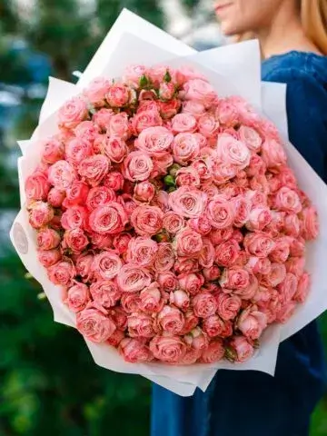 51 peony rose