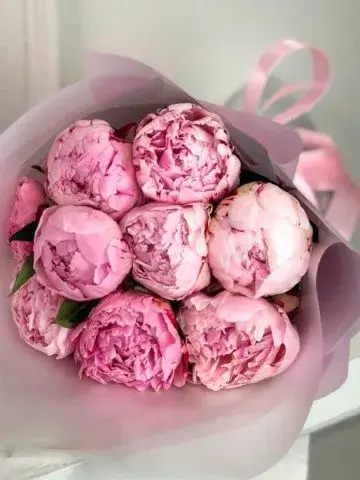 Bouquet of 9 Sarah Bernhardt peonies