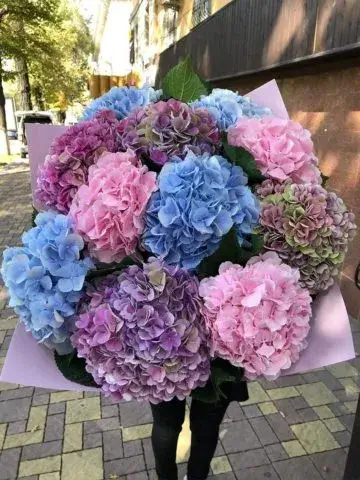 Bouquet «Rainbow Mix»