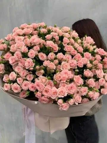 101 spray rose