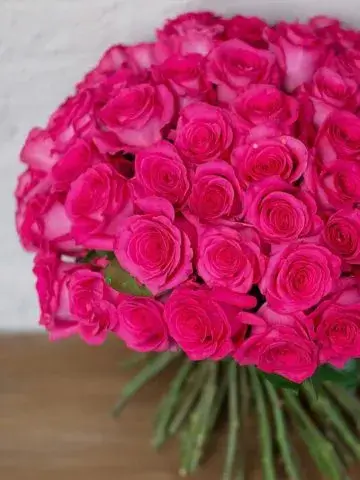 101 rose 40 cm