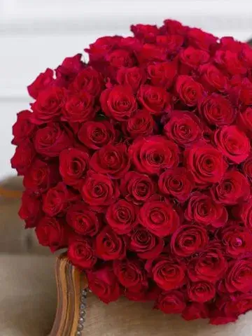 101 red rose