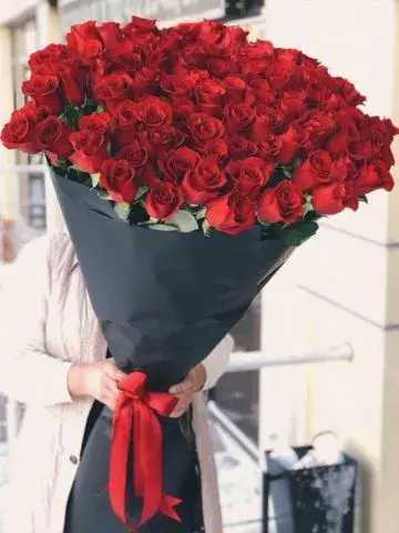101 dutch, large rose 100 cm