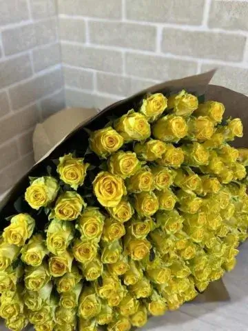101 rose 30 cm