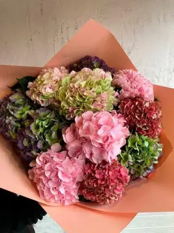 Bouquet of 11 hydrangeas