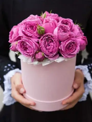 15 peony roses in a box