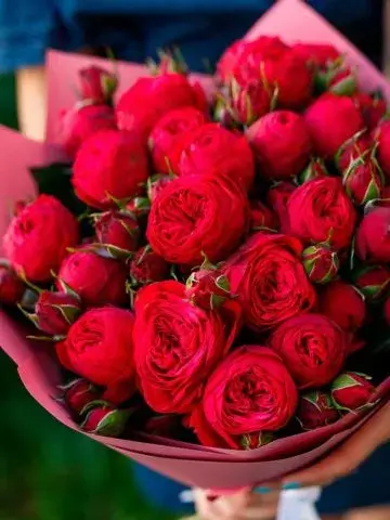 Bouquet 