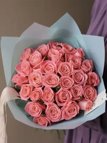 31 rose 70 cm