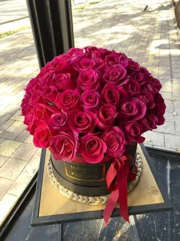 77 roses in a box